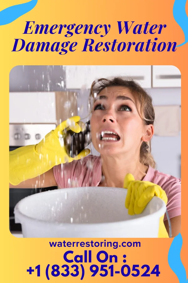 Emergency Water Damage Restoration in Meadow Glade, WA