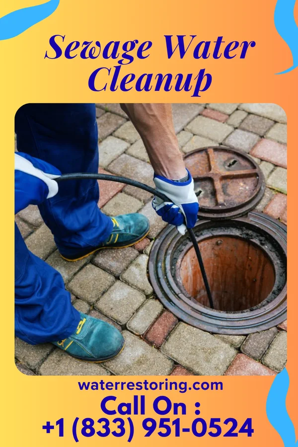 Sewage Water Cleanup in Meadow Glade, WA